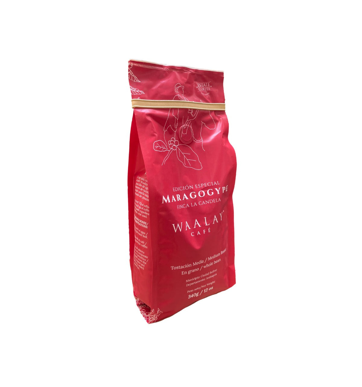 Café Maragogype: El gigante de los arabigos con aromas increibles, sabores exóticos y únicos.